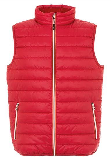 Immagine di Gilet Unisex JRC Worms