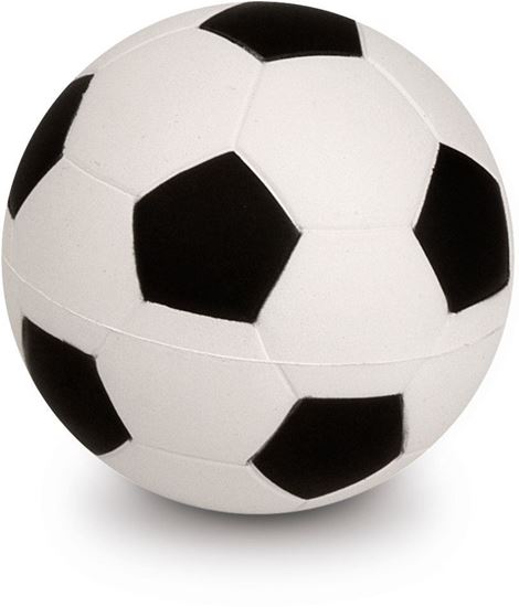 Immagine di Pallone Calcio