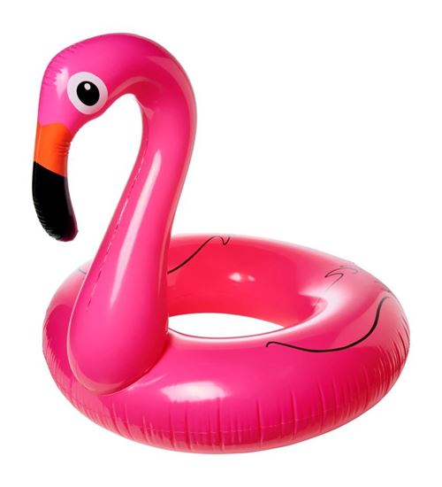 Immagine di Salvagente Flamingo 100708