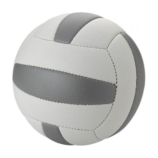 Immagine di Pallone da beach volley 100197