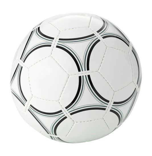 Immagine di Pallone da calcio 100263