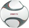 Immagine di Scarica immagine Pallone da calcio 100265