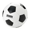 Immagine di Pallone da calcio 100052