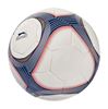 Immagine di Pallone da calcio 100506