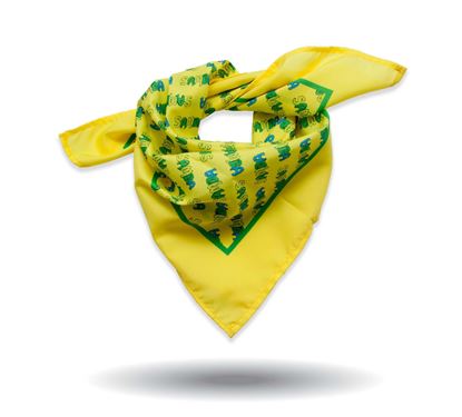 Immagine di Foulard Quadrato